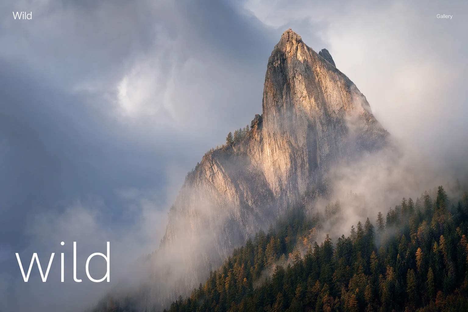 A photography portfolio built with Daciel Build